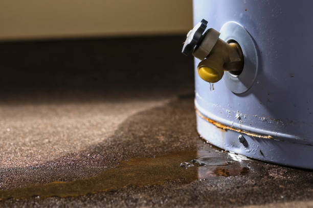 Best Water damage restoration near me  in Minoa, NY