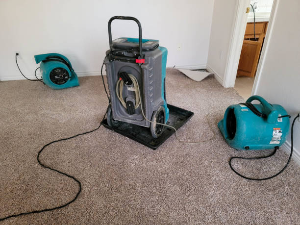Best Water damage mitigation services  in Minoa, NY