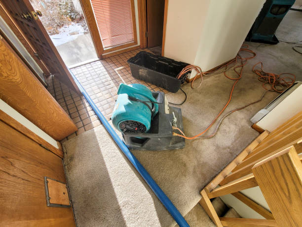 Best Water damage restoration near me  in Minoa, NY