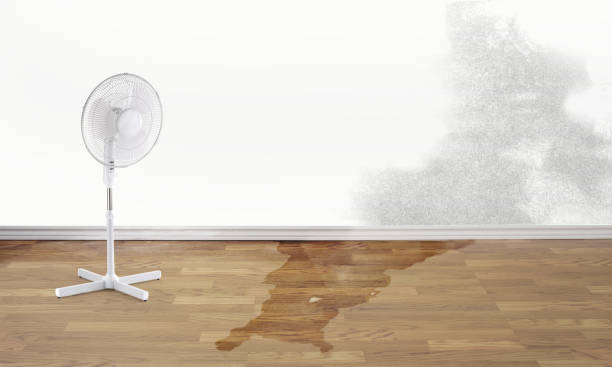  Minoa, NY Water damage restoration Pros