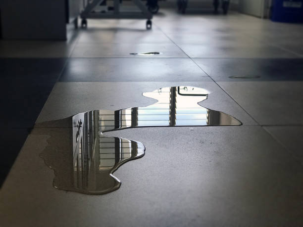 Best Water damage repair service  in Minoa, NY