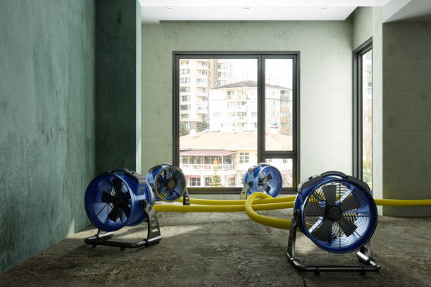 Best Flood restoration services  in Minoa, NY